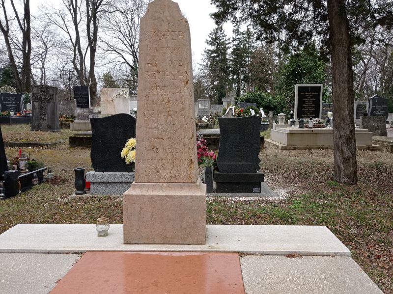 Az ő sírja is védett: Szuper Károly földi maradványait a Kerepesi úti temetőből hozták át. Ő sem közkatonaként lett ismert, hanem mint Petőfi Sándor színésztársa, aki a költőt a társulatnak ajánlotta, később pedig színigazgató lett. Élt: 1821-1892. 