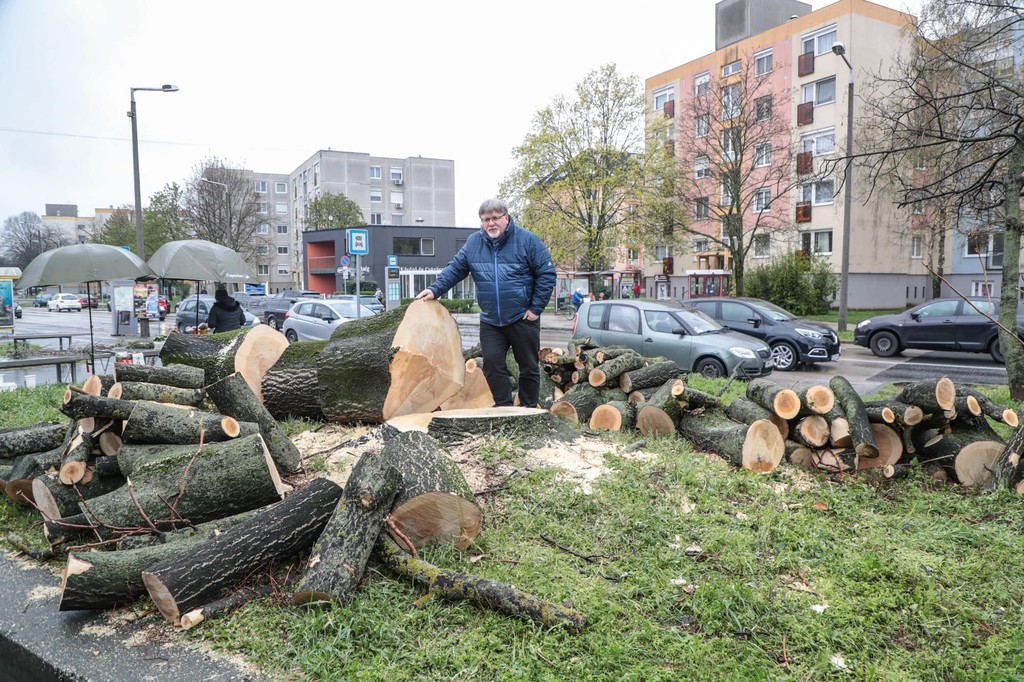 Dézsi Csaba András a helyszínen is tájékozódott.