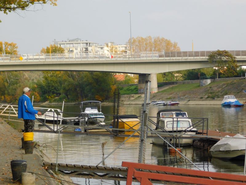 Téli üzemrend a Mosoni-Dunán