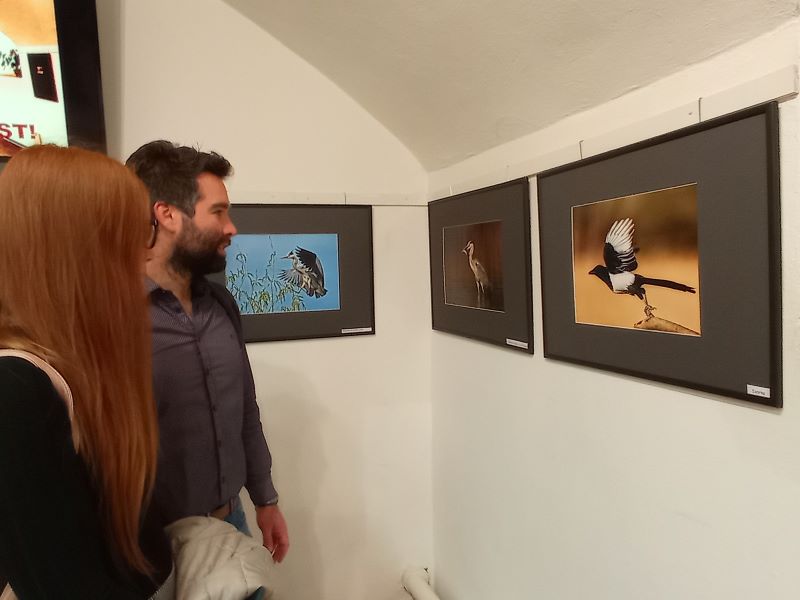 Alexay Zoltán kiállításának pillanatai