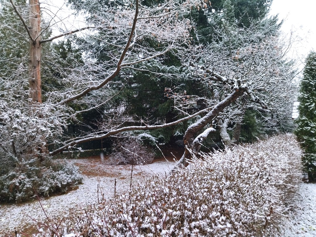 Hóesés Sopronban