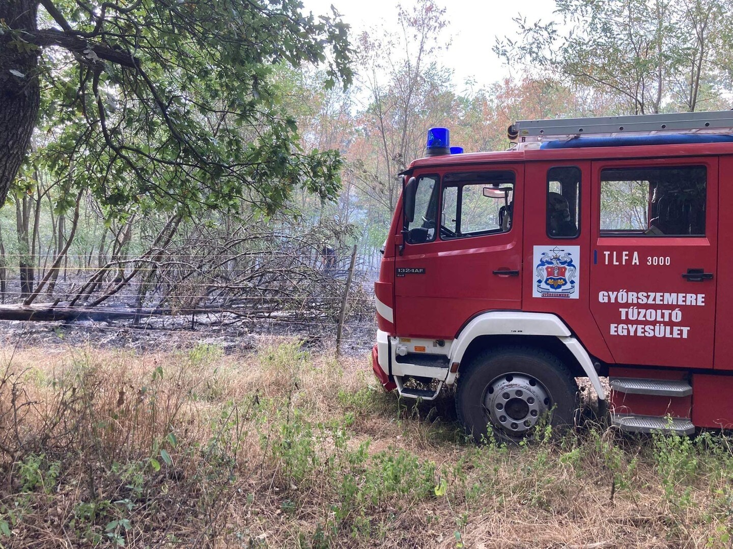 Így égett az erdő alja Sikátoron