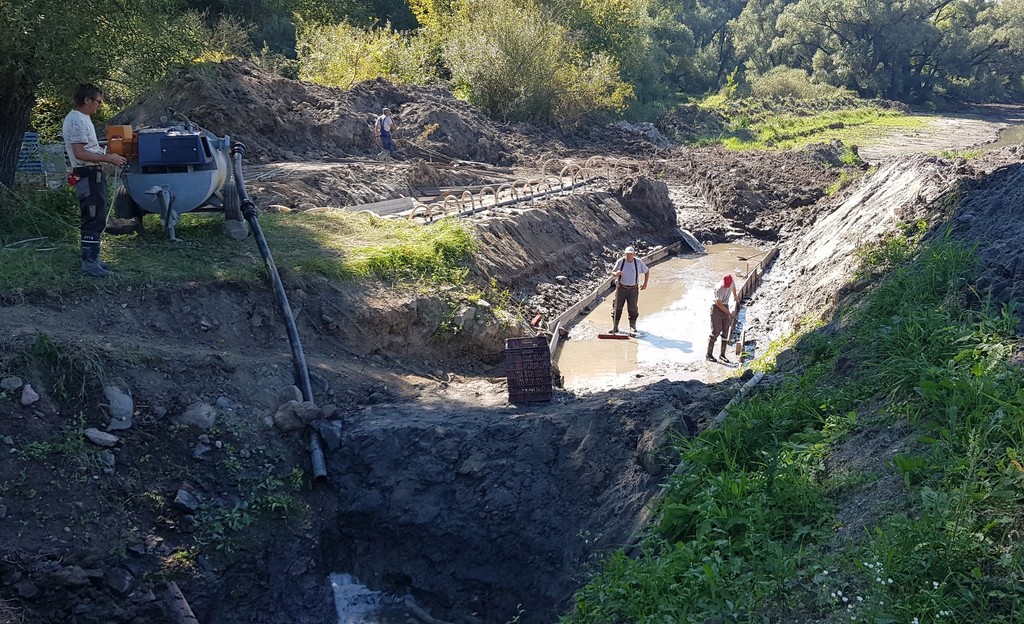 Ívóhely és ivadéknevelő a Marcal partján 