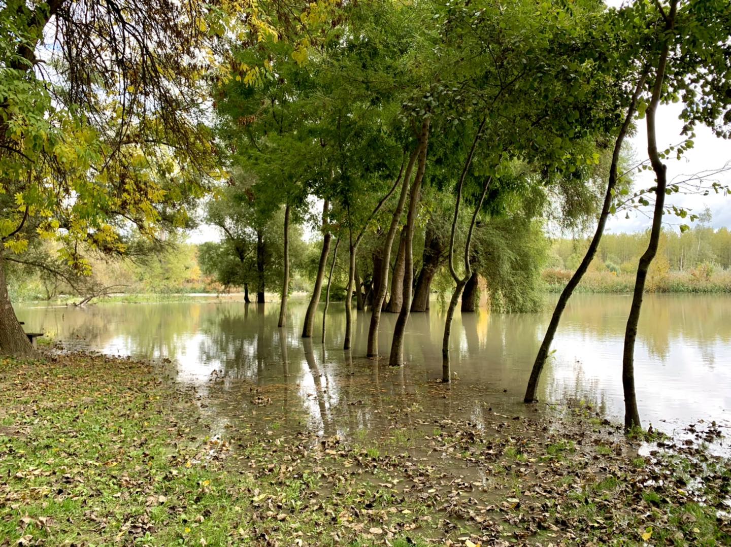 Lesz-e valaha közös Szigetköz–Csallóköz Nemzeti Parkunk a Duna mentén? 