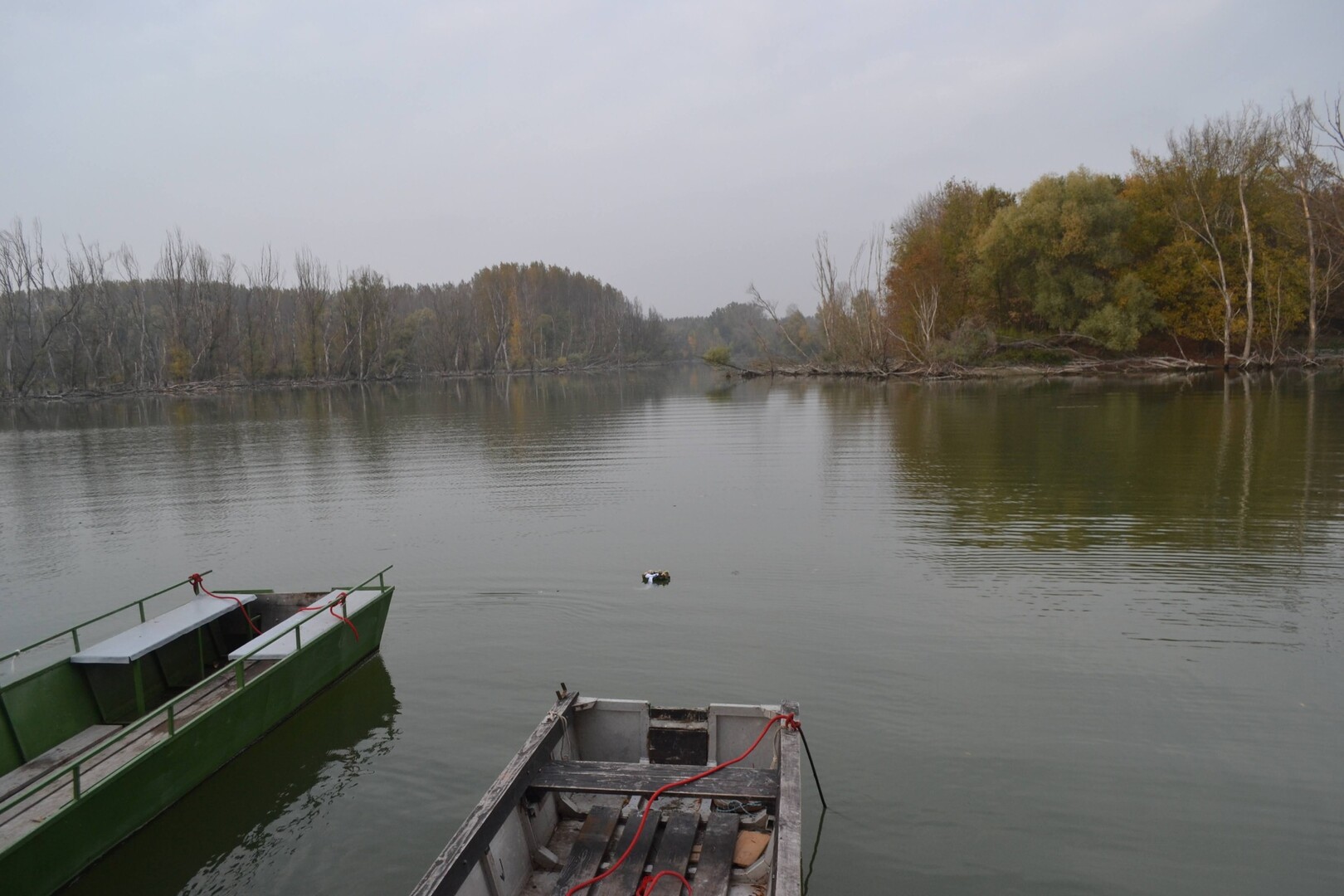 Lesz-e valaha közös Szigetköz–Csallóköz Nemzeti Parkunk a Duna mentén? 
