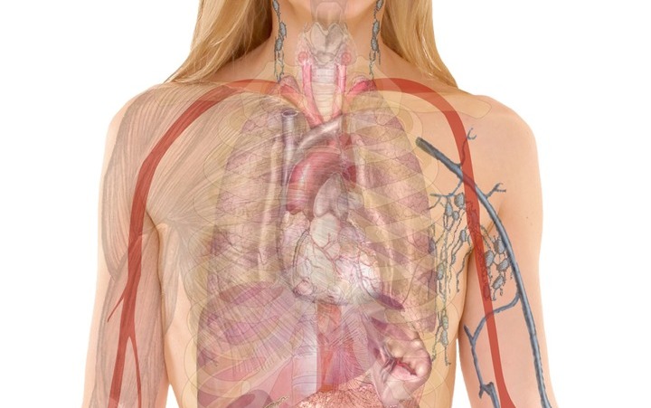 TÉVHIT: A láz károsítja a szervezetet, az agyat a szívet.