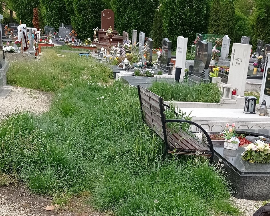 Gaztenger a temetőben