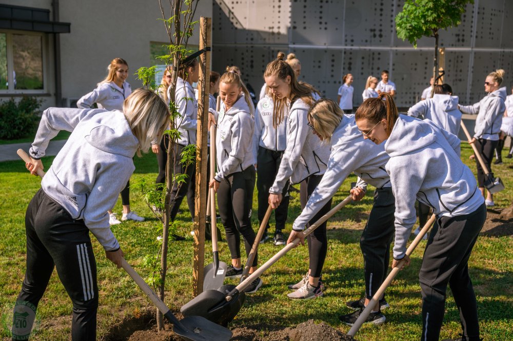 Faültetés az Audi Győr Arénánál