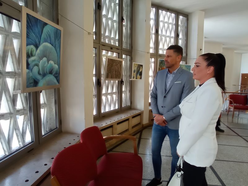 Az orvos gyógyít, a művészet vígasztal: dr. Patyi Olga képeiből nyílt kiállítás 