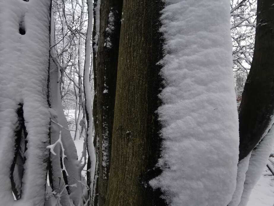 Megjött a tél a Bakonyba