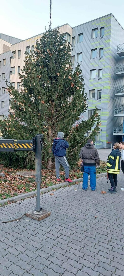 Karácsony a kórházban, a beteg gyerekeknek is jutott szép fenyőfa