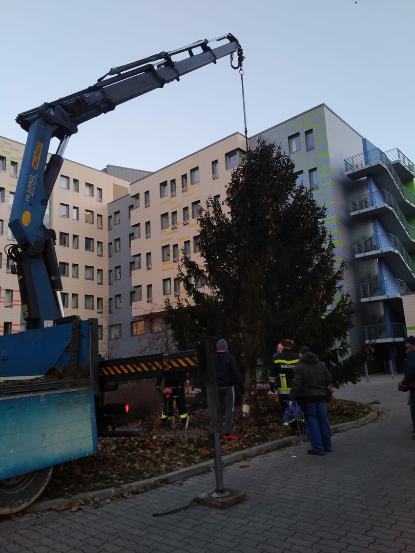 Karácsony a kórházban, a beteg gyerekeknek is jutott szép fenyőfa