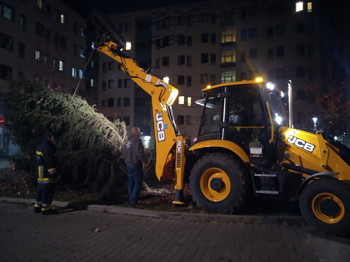 Karácsony a kórházban, a beteg gyerekeknek is jutott szép fenyőfa