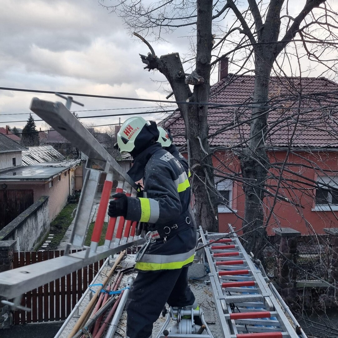 Fakidőléshez és tető sérüléshez riasztották a Hegyeshalom Nagyközségi Önkéntes Tűzoltó Egyesület tagjait is. Fotó: Hegyeshalom Nagyközségi Önkéntes Tűzoltó Egyesület