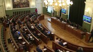 közgyűlés