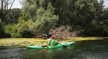 Beevezés Szigetközbe-1