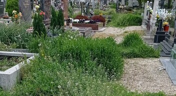 Gaztenger a temetőben-3