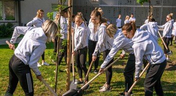 Faültetés az Audi Győr Arénánál-1