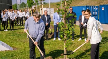 Faültetés az Audi Győr Arénánál-3