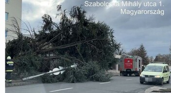 Pusztít a szél, dőlnek a táblák, lámpák, fák -3