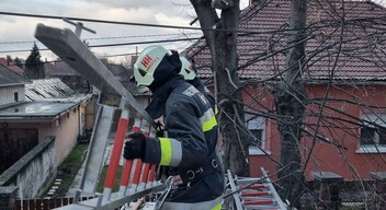 Fakidőléshez és tető sérüléshez riasztották a Hegyeshalom Nagyközségi Önkéntes Tűzoltó Egyesület tagjait is. Fotó: Hegyeshalom Nagyközségi Önkéntes Tűzoltó Egyesület-4