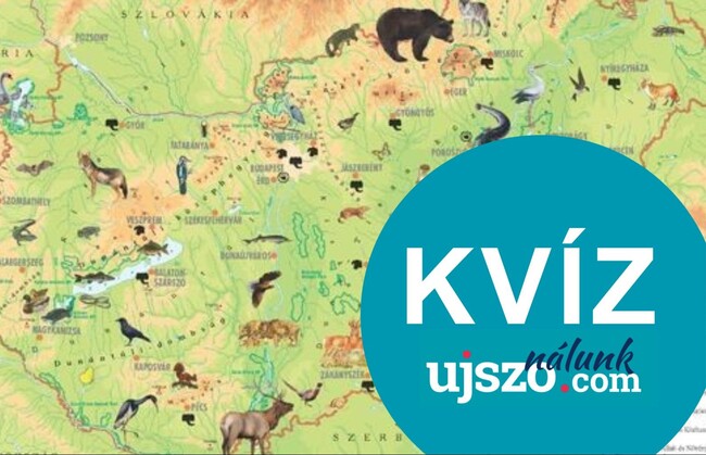 KVÍZ: Magyar erdők és mezők állatai