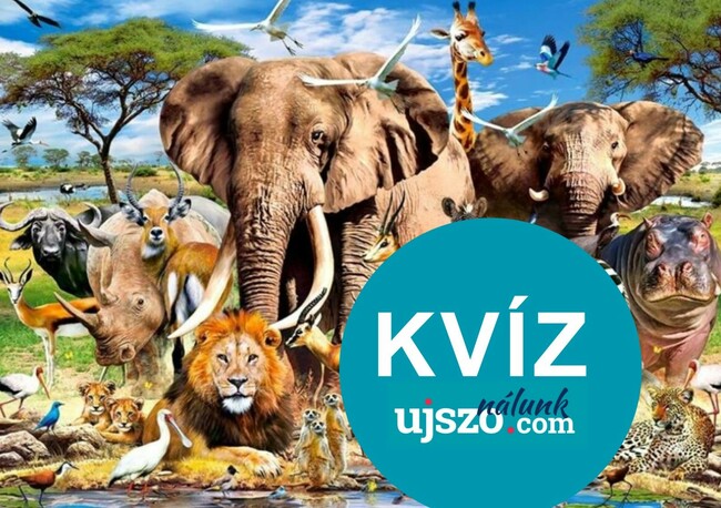 KVÍZ: Afrika (és az állatkertek) állatai