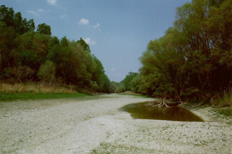 elterelés