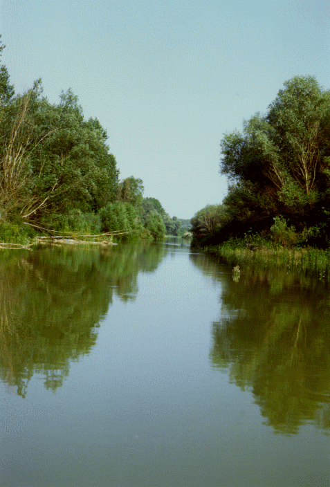 elterelés