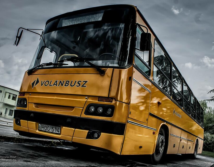 busz