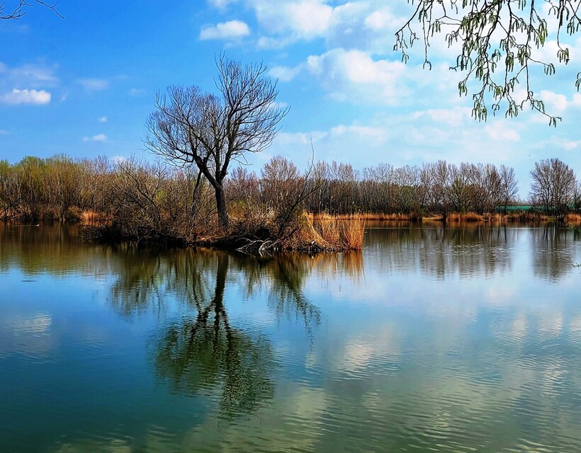 Szigetköz