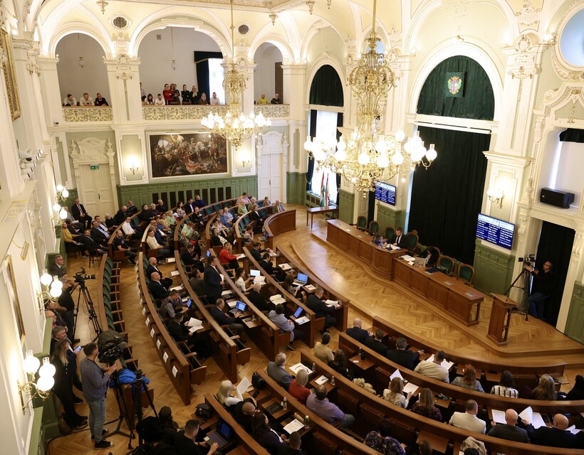közgyűlés