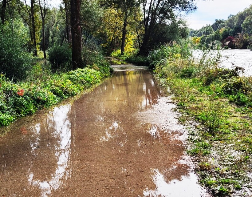 nemzeti park