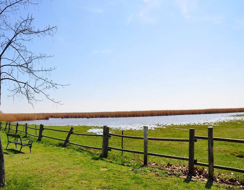 Fertő