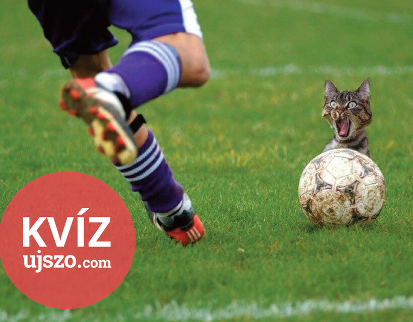 kvíz
