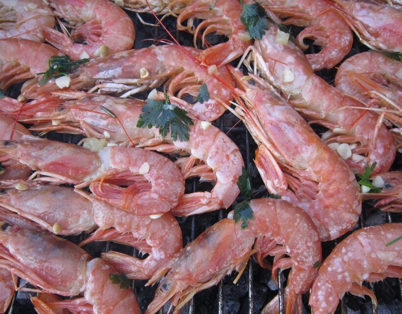 garnéla