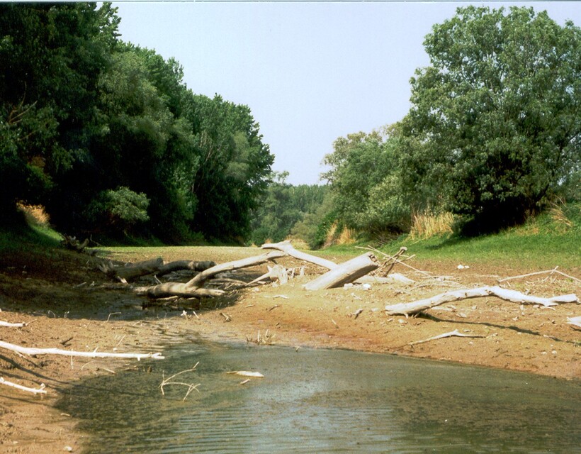 elterelés