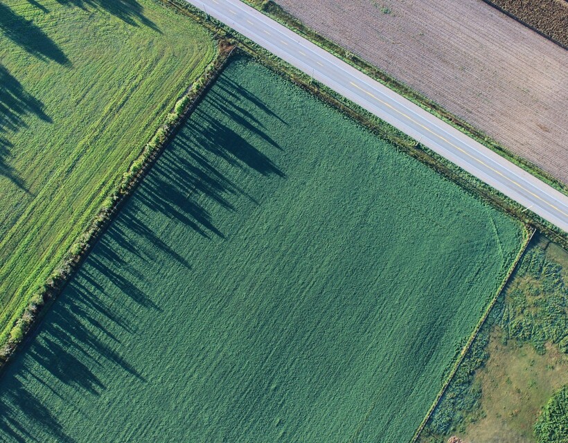 föld