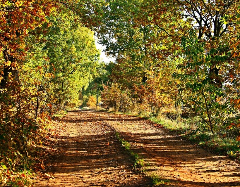 ősz