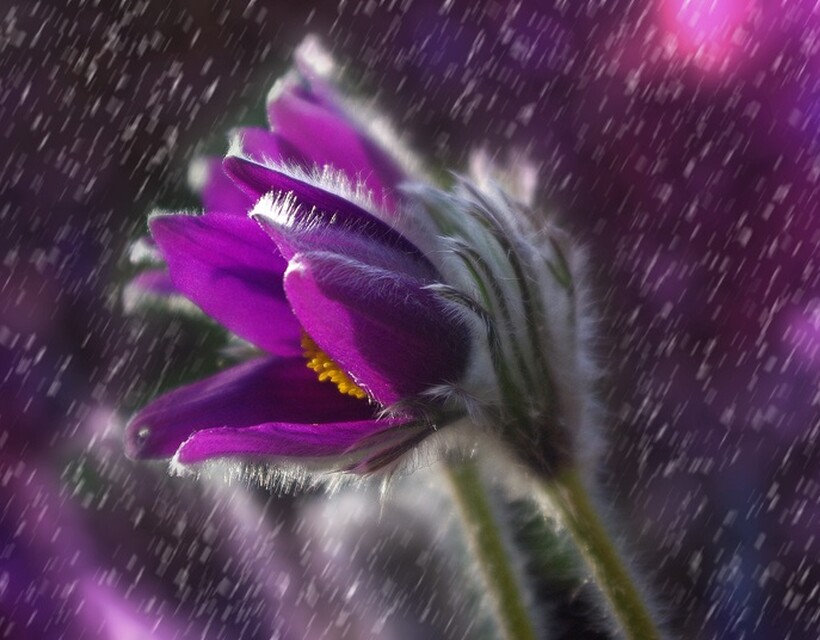 idő