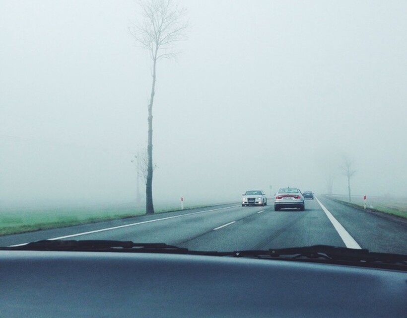 köd
