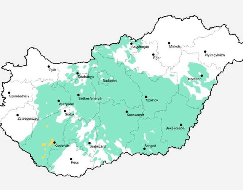 parlagfű