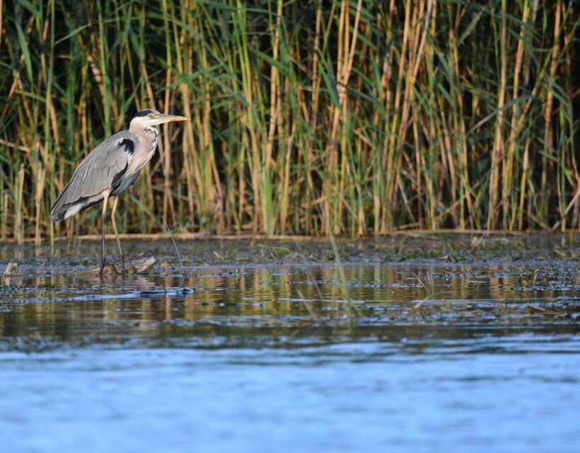 nemzeti park