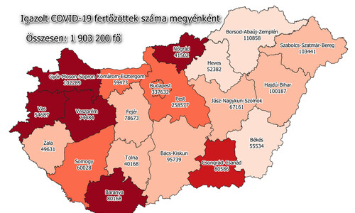 koronavírus