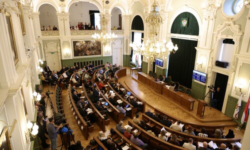 közgyűlés