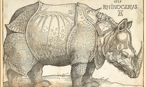 Albrecht Dürer, Das Rhinozerus