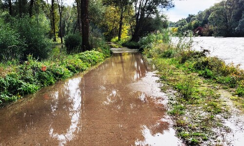 nemzeti park