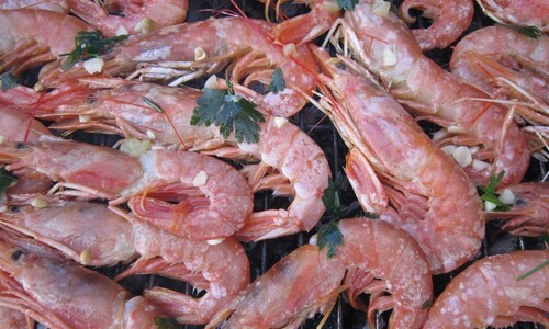 garnéla