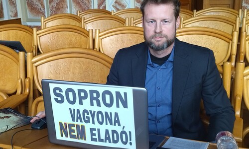 Simon Zoltán DK