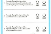 A népszavazási szavazólapon 4 kérdés szerepel, mindegyik mellett IGEN, vagy NEM és mellette egyegy karika. A kérdésekre érvényesen úgy lehet szavazni, ha minden kérdés mellett vagy az IGEN, vagy a NEM melletti körbe húzunk egymást keresztező vonalat. Az tehát érvénytelen szavazat, ha egy vagy több kérdés mellett az IGEN és a NEM melletti karikába is húzunk keresztező vonalat. -12